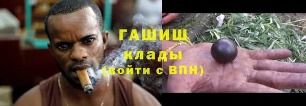 дживик Снежногорск
